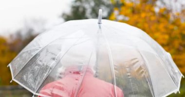 Kırmızı ceketli ve şeffaf bir şemsiye altında yağmurlu havanın tadını çıkaran bir kadın. Sonbahar havası, sarı yapraklar