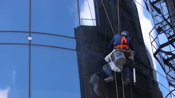 Ruitringen op glazen gevel. Industriële klimmers wassen ramen van wolkenkrabber — Stockvideo