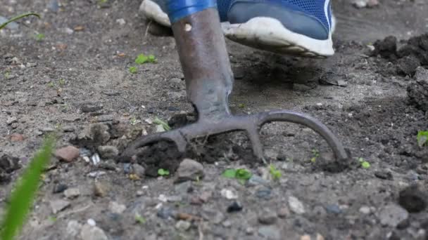 Close-up van graven voorjaar grond met schop voor te bereiden op nieuwe zaaiseizoen — Stockvideo