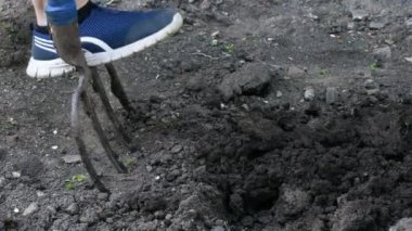 Bahar toprağını çatalla kazıp yeni ekme mevsimi için hazırlıyorum..