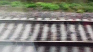 Demiryolu rayları. Hızlı trenin penceresinden manzarayı seyret. Ormanlı, yaz günündeki güzel doğa yolu manzarası.