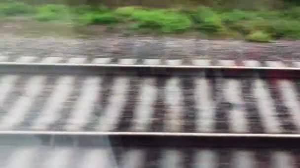 Ferrocarriles. Vista desde la ventana del tren de velocidad en el paisaje de la hermosa carretera de campo de la naturaleza con el bosque, día de verano — Vídeos de Stock