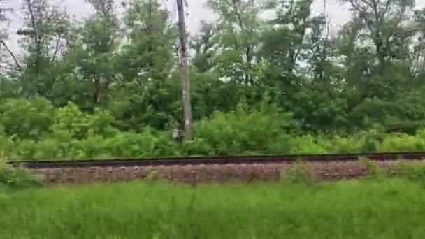 Jízda vlakem boční okno s krásnou panoramatickou krajinou přírody, zelené stromy, keře na jaře. Doprava cestování silniční železniční krajina — Stock video