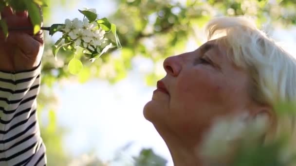 Charmante femme blonde adulte reniflant des fleurs de pomme dans le jardin avec des arbres à fleurs — Video