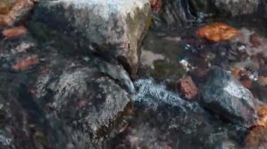 Stream water running fast in summer forest. Water flowing over rocks