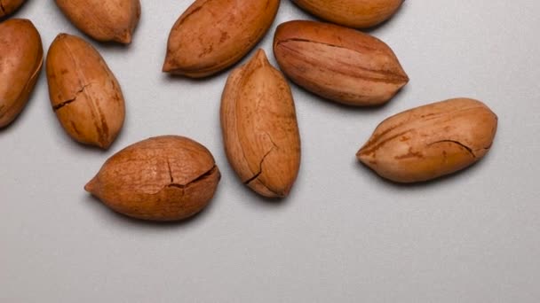 Nueces de nuez en una cáscara dura con grietas sobre un fondo gris con un espacio de copia. Concepto alimenticio. — Vídeos de Stock