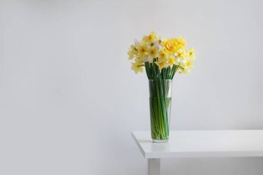 Güzel bahar sarısı nergis çiçekleri şeffaf vazoda gri duvar afiş zemininde beyaz asgari masa üzerinde. Zarif çiçekli yumuşak beyaz kompozisyon.