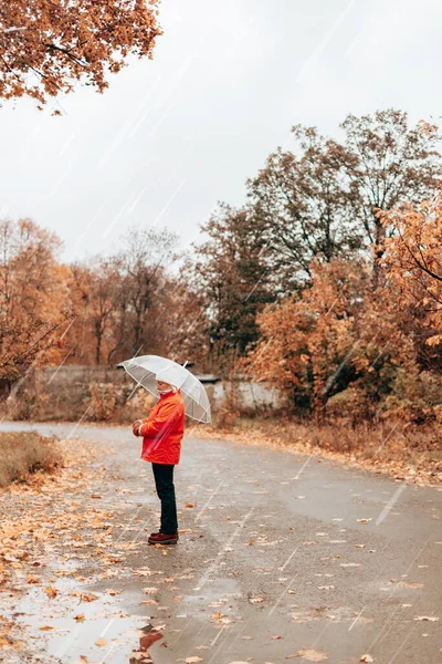 Mulher em uma jaqueta vermelha caminha ao longo das ruas chuvosas molhadas sob guarda-chuva transparente. Visão traseira com espaço de cópia — Fotografia de Stock