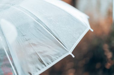 Bahar yağmurunda yürü. Yağmurlu soğuk havada şeffaf bir şemsiyeyi kapat