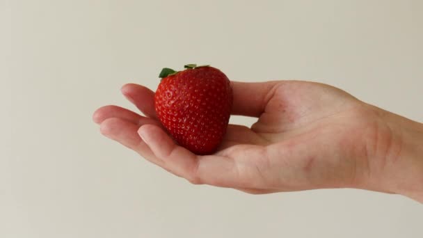 Primo piano di mano femminile che tiene fresco grande fragola succosa su sfondo grigio. Cibo sano — Video Stock