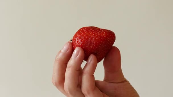 Primer plano de la mano femenina sosteniendo fresa jugosa grande fresca sobre fondo gris. Alimento saludable — Vídeo de stock