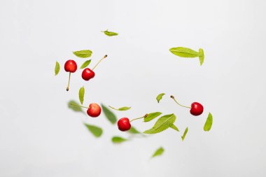 Random flying in the air green mint leaves with juicy ripe sweet cherry isolated on white background
