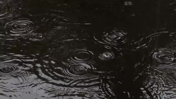 Cirklar och bubblor från regnet i en lera pöl, textur höstvatten. Kraftigt regn droppar på asfalt närbild. — Stockvideo