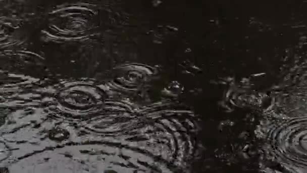 Kruhy a bubliny z deště v kaluži bahna, textura podzimní vody.Déšť — Stock video
