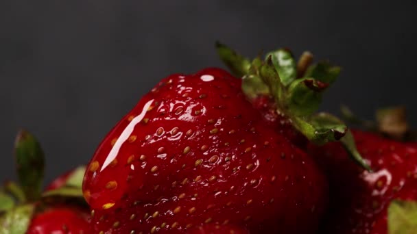 Letní organické červené zralé jahodové plody na tmavém pozadí, zblízka. Čistá kapka tekuté vody na bobuli — Stock video