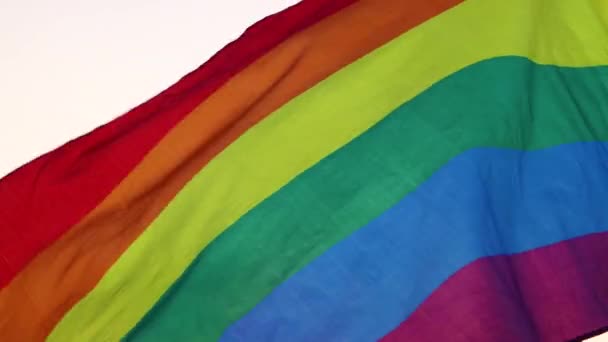 Primer plano de la brillante bandera LGBT en un campo floreciente al atardecer. — Vídeos de Stock