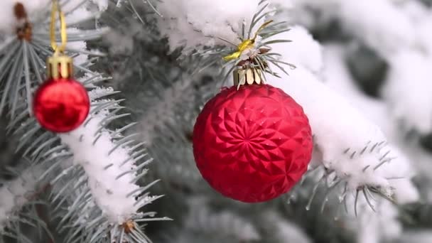 Lento movimiento de bolas decorativas rojas en el árbol de Navidad con nieve — Vídeos de Stock