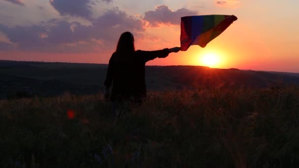 Молодая счастливая свободная женщина с ярким ЛГБТ-флагом в цветущем поле на закате. Рука размахивает радужным флагом на ветру — стоковое видео