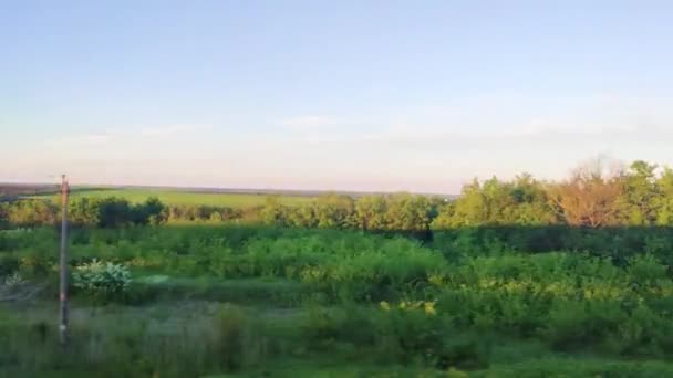 Krajobraz pociąg droga wycieczka boczne okno z pięknej przyrody pole drogi z lasu. Szybkie poruszanie się między drzewami. — Wideo stockowe