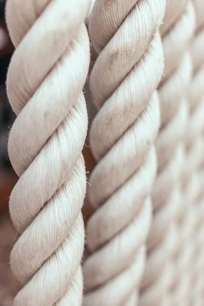 Strong White Ropes Weigh Upright White Background — Stock Photo, Image