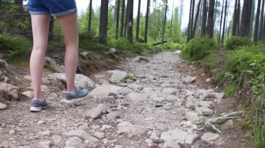 Kasprowy Top, Poland - february 17, 2021: Young hiking traveler woman with backpack and photo camera a path in the woods descends down the stones. Girl walks along