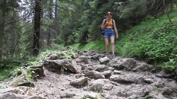 Kasprowy Top, Polska - luty 17, 2021: Młody turysta z plecakiem i kamerą fotograficzną ścieżka w lesie schodzi po kamieniach. — Wideo stockowe