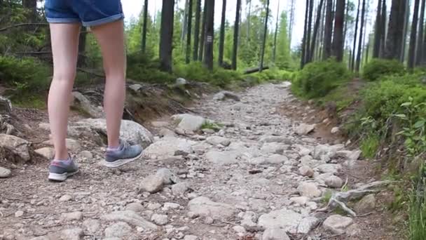 Kasprowy top, poland - 17. Februar 2021: junge wanderreisende frau mit rucksack und fotokamera auf einem pfad im wald die steine hinunter. Mädchen läuft mit — Stockvideo