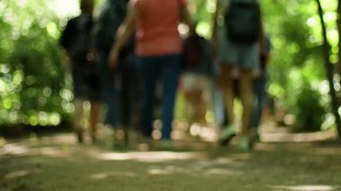 Bir grup insan ve aileleri bir yaz günü parkta yürürler ve güneşin tadını çıkarırlar. Bulanık arkaplan.