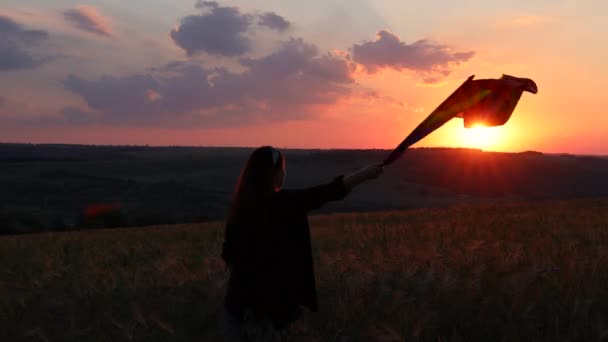 Młoda szczęśliwa wolna dziewczyna z jasną flagą LGBT na kwitnącym polu o zachodzie słońca. Ręcznie machająca tęczowa flaga na wietrze — Wideo stockowe