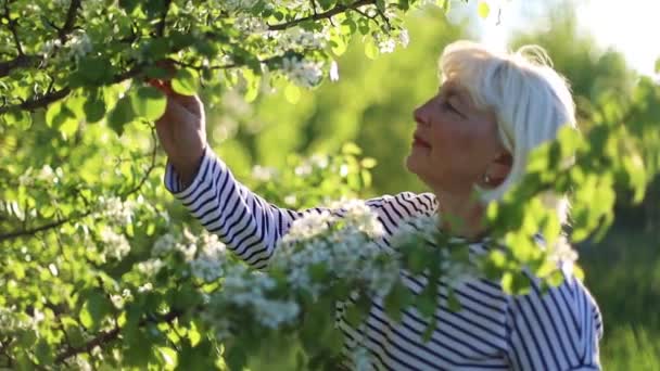Urocza blondynka dorosła kobieta wąchająca kwiaty jabłoni w ogrodzie z kwitnącymi drzewami w sezonie wiosennym — Wideo stockowe