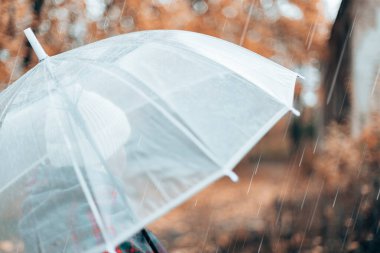 Yağmurlu sonbahar havasında ıslak şeffaf şemsiye. Güzel sonbahar parkı