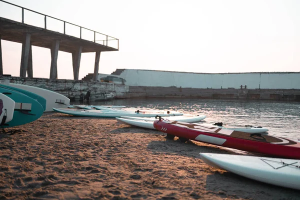 Mai Multe Plăci Sup Situate Lângă Apă Malul Lacului Apusul — Fotografie, imagine de stoc