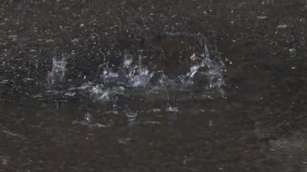 Las fuertes gotas de lluvia en el primer plano de asfalto. Círculos y gotas en un charco, textura con burbujas en el agua, lluvia otoñal — Vídeos de Stock