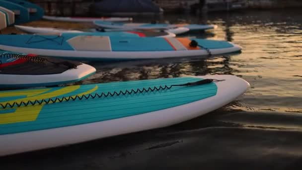 Stand up SUP κουπί σκάφους στη λίμνη ή τη θάλασσα με μπλε νούφαρα, κωπηλασία το καλοκαίρι στο ηλιοβασίλεμα. Θερινές οικογενειακές διακοπές — Αρχείο Βίντεο