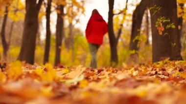 Yeşil kot ve gri çizmeli bir kadın sonbahar ormanında kuru yaprakların üzerinde yürüyor. Yakın plan.