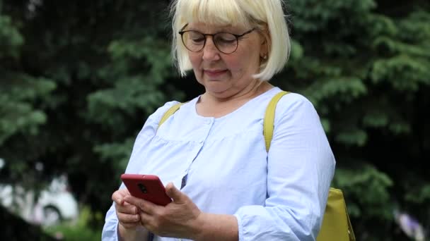 Femme d'affaires adulte en lunettes utilise un smartphone tout en se tenant dans la rue dans un parc de la ville — Video