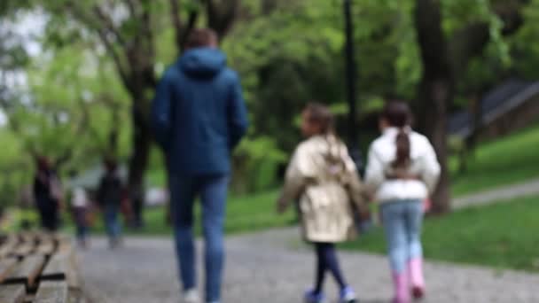 Vista posterior de la familia disfrutando de caminar en el parque de primavera. En cámara lenta. Fondo borroso — Vídeo de stock