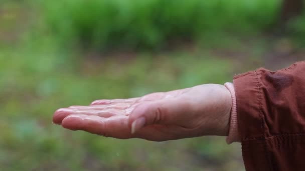 Regenwasser, das auf weibliche Hand fällt, im Freien stehend, Naturhintergrund — Stockvideo
