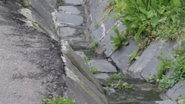 Beton drenaj borusu sırası. Boru döşemeli kanalizasyon suyu sistemi açık havada.