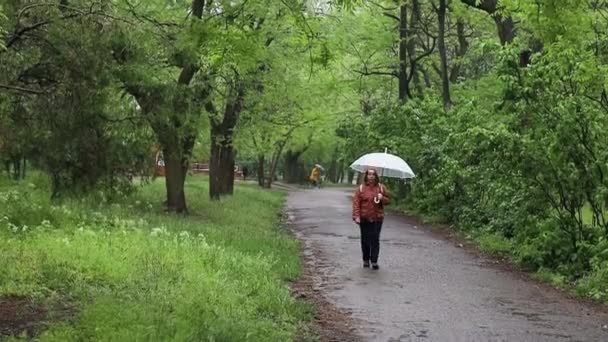 Nő átlátszó esernyővel az esőben egy városi zöld parkban. Rossz idő — Stock videók