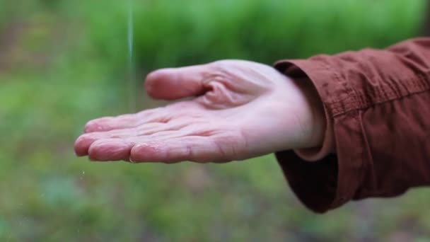 Close-up of a female hand trying to catch the falling raindrops on a rainy day, standing outdoors — Stock Video