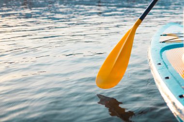 Sessiz denizde ya da gölde ayakta yüzen genç bir kadın. Sıcak bir yaz gününde su eğlencesi.