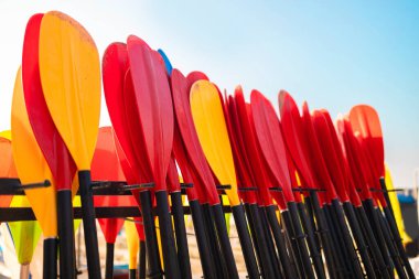 Sahilde kayak yapmak için bir sürü renkli kırmızı raket. Yazın okyanusta veya gölde yüzmek için araç gereç kirası