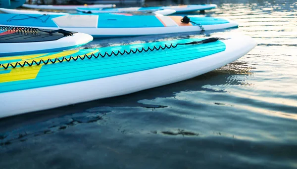 Nahaufnahme eines Stand Up SUP Paddelbretts auf See oder Meer mit blauen Seerosen, das im Sommer bei Sonnenuntergang paddelt. Familienurlaub im Sommer — Stockfoto