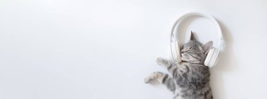 Beyaz kablosuz kulaklıklı mutlu gri kedi yalan söylüyor ve beyaz masada eğleniyor. Mutlu bir evcil hayvanla samimi bir arka plan. Müzik, dinleme