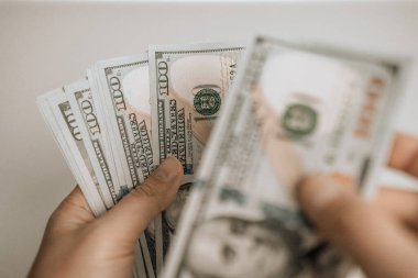 El ele tutuşup Amerikan dolarlarını sayalım. Gelir ve iş kavramı. Para sayan adam, ekonomi konsepti, para dağılımı