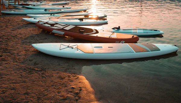 Primer plano de stand up SUP paddle board en el lago o el mar con lirios de agua azul, remando en verano al atardecer. Vacaciones familiares de verano — Foto de Stock