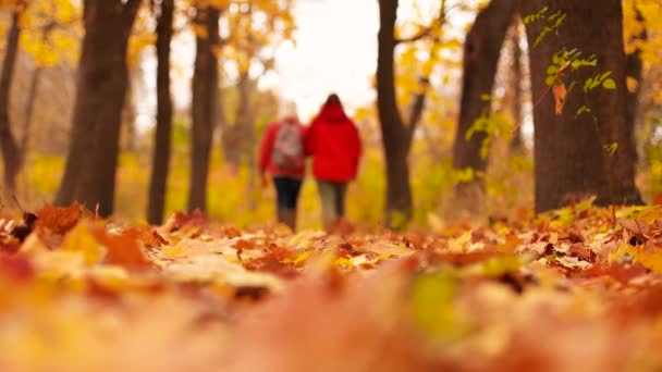 Vue floue de deux personnes marchant le jour d'automne dans le parc de la ville — Video