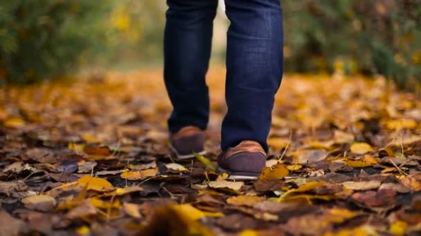 Élégantes jambes de femme en baskets de sport qui partent en vacances par une froide journée d'automne. Jambes de femmes en jeans et chaussures marchant sur la route. Femme élégante au repos, marchant. — Video