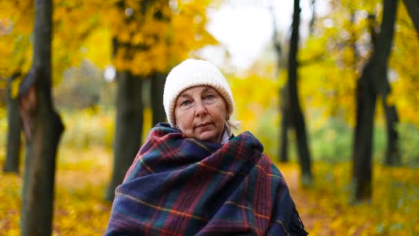 Volwassen blonde haar vrouw met een witte warme hoed en met een sjaal loopt in een herfst gouden park. Herfst stemming, tapijt van gele bladeren — Stockvideo